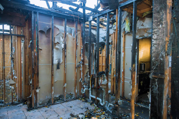 Professional Fire Damage Removal technician working in Campbellsport, WI